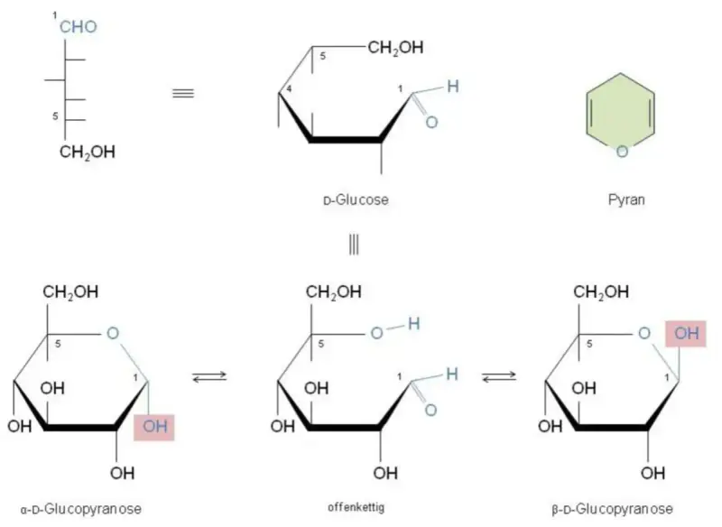 Strukturformeln von Glucose: offenkettige Form, Pyranose-Ring und die Bildung eines Halbacetals in α- und β-Form.