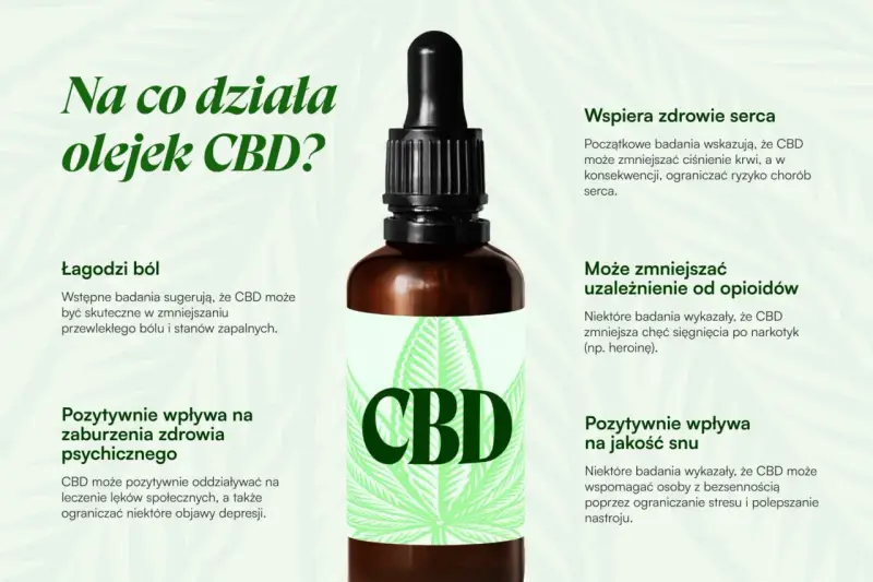 Olej CBD łagodzi ból, wspiera serce, poprawia sen i może zmniejszać uzależnienia. Dowiedz się, na co działa olejek CBD.