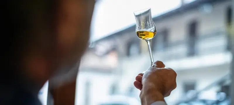 Dłoń trzyma kieliszek ze złotym płynem. To grappa, włoski destylat z wytłoków winogron.