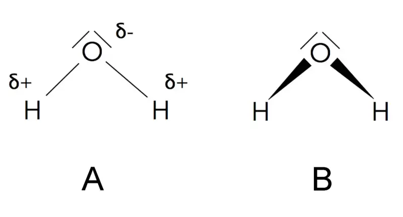 Zwei Wasser-Strukturformeln. A zeigt die polaren Bindungen mit partiellen Ladungen (δ+, δ-). B zeigt die V-förmige Struktur.