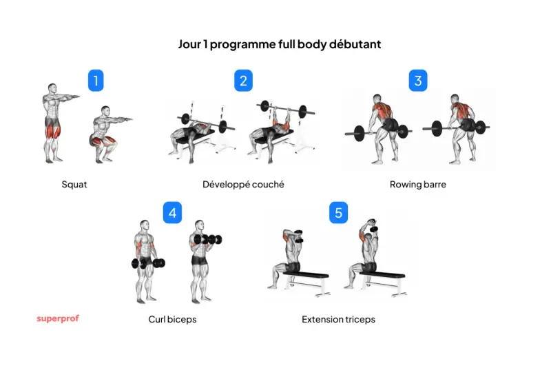 Jour 1 programme full body débutant : Squat, développé couché, rowing barre, curl biceps, extension triceps. Idéal pour un programme musculation débutant.