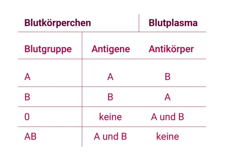 Tabelle zeigt Blutgruppen, Antigene und Antikörper im Blut. Blut ist lebenswichtig.