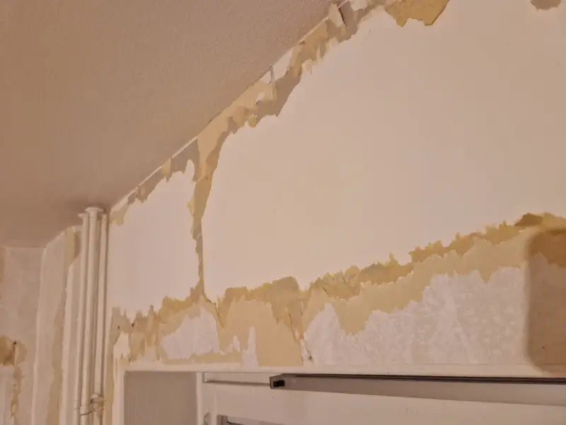 Tapeten flagnar och visar lager av gammal färg och papper. En renovering är på gång, där man förbereder för att måla på tapet.