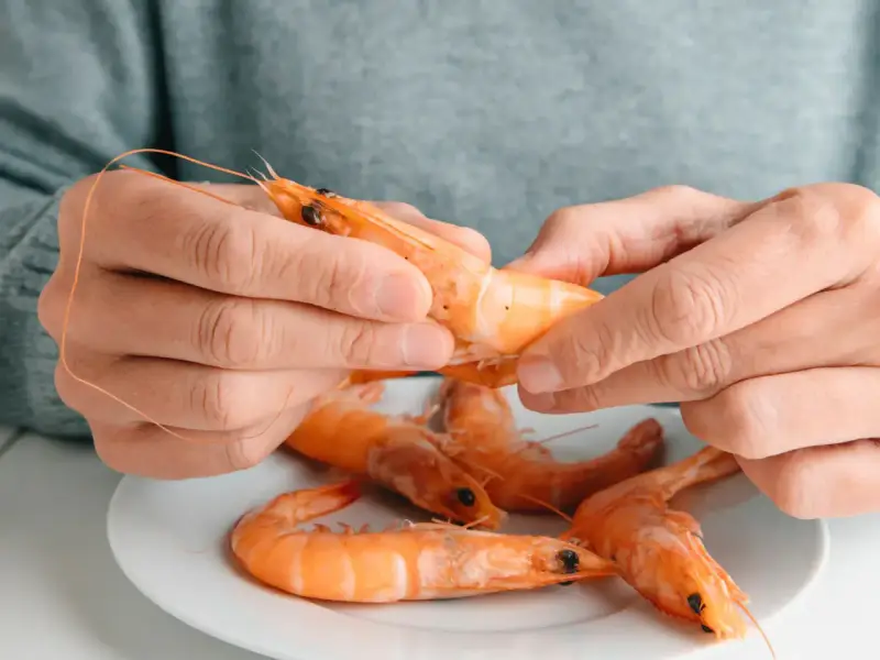 Des mains épluchent une crevette crue, posée sur une assiette avec d'autres crevettes. Peut on manger des crevettes crues ?