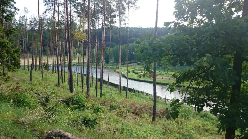Malownicze jezioro Wilcze otoczone lasem sosnowym, z widocznym małym domkiem i kilkoma osobami spacerującymi nad wodą.