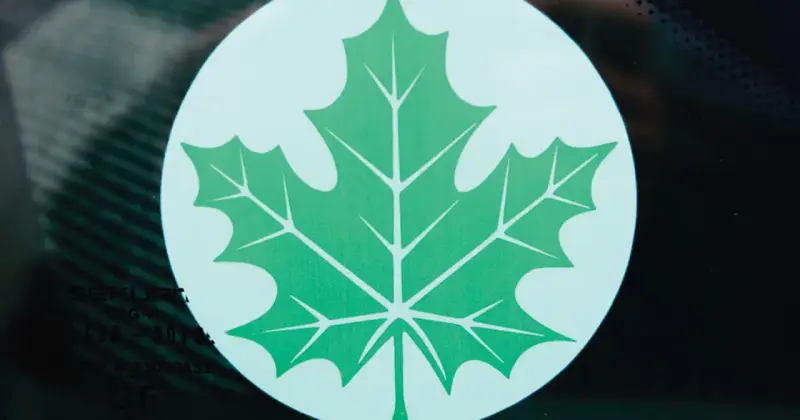 Zielony listek Orlen, symbol ekologii i troski o środowisko, widoczny na szybie.