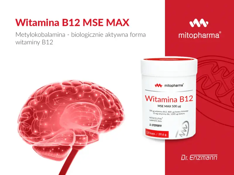 Wsparcie dla mózgu: witamina B12 na co pomaga. Czerwony mózg i opakowanie suplementu diety z witaminą B12.