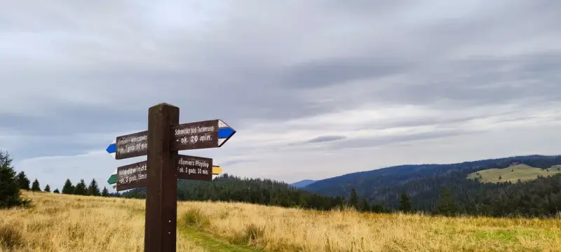 Drewniany drogowskaz w górach, wskazujący szlaki na gorce szczyty. W tle las i zachmurzone niebo.
