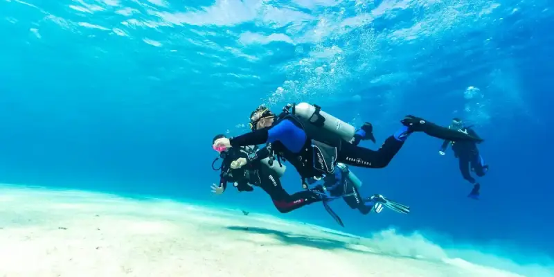 Marsa Alam: Co warto zobaczyć? Podwodne cuda i pustynne przygody
