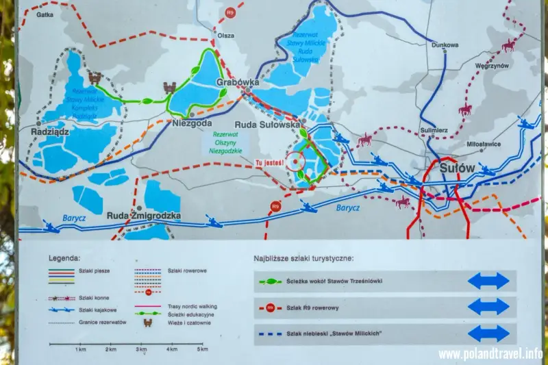 Mapa turystyczna Doliny Baryczy z zaznaczonymi trasami rowerowymi, pieszymi, konnymi i kajakowymi. Wskazuje rezerwaty przyrody i punkty widokowe.