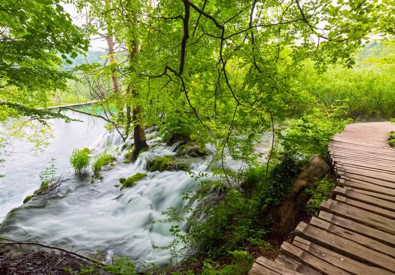 Drewniana ścieżka wije się wzdłuż kaskad i turkusowej wody. Park Narodowy Jezior Plitwickich zachwyca bujną zielenią i szumem wodospadów.