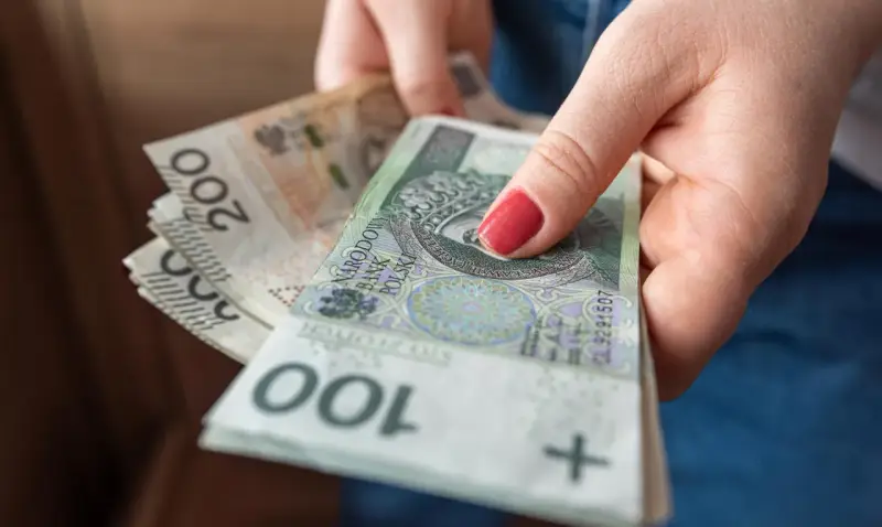 Dłoń trzyma stos polskich banknotów 100 i 200 zł. Pieniądze mogą być przeznaczone na przelew podatkowy.
