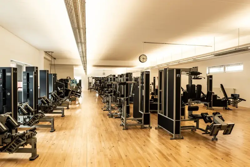 Reihe von Krafttrainingsgeräten in einem hellen Fitnessstudio. Ideal für Krafttraining bei Hexenschuss zur Stärkung der Rumpfmuskulatur.