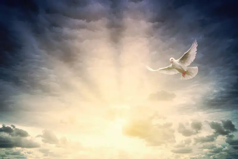 Weiße Taube fliegt durch dramatische Wolken, ein Symbol für Ostern, Himmelfahrt und Pfingsten.