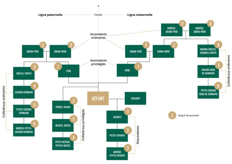 Arbre généalogique montrant comment retrouver les descendants d'une personne décédée, avec les liens familiaux et les degrés de parenté.