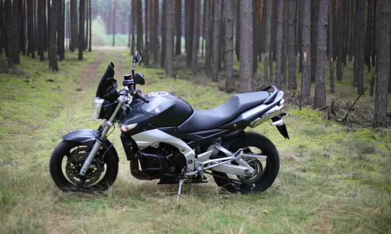 Suzuki GSR 600 dane techniczne: czarny motocykl stoi na leśnej ścieżce, otoczony sosnami.