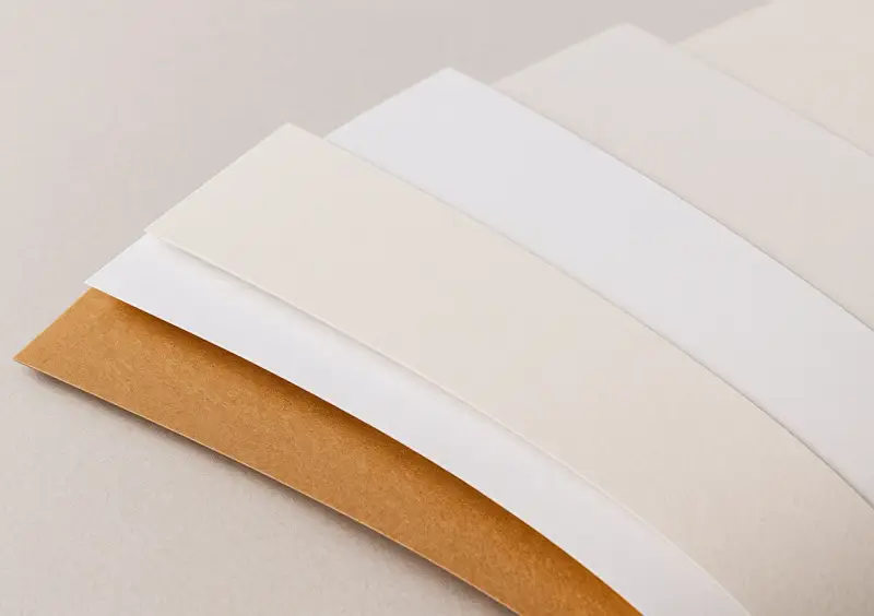 Abanico de diferentes tipos de folio en tonos neutros: marrón, blanco roto y blanco.