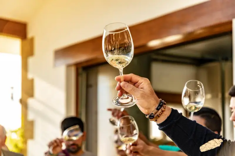 Manos brindando con copas de vino blanco. ¿Qué es chacolí? Es un vino joven y fresco, ideal para disfrutar en buena compañía.