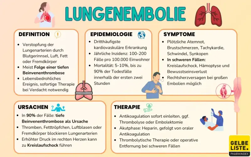 Infografik erklärt Lungenembolie: Ursachen (tiefe Beinvenenthrombose), Symptome (Atemnot, Schock) und Therapie. Eine doppelte Lungenembolie ist lebensbedrohlich.