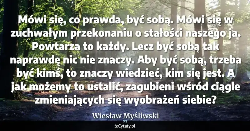 Las skąpany w słońcu. Cytat: "Aby być sobą, trzeba być kimś, to znaczy wiedzieć, kim się jest. A jak możemy to ustalić, zagubieni wśród ciągle zmieniających się wyobrażeń siebie?" Wiesław Myśliwski. Wiem że nic nie wiem.