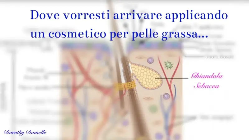 Illustrazione anatomica della pelle, con focus sulla ghiandola sebacea, per un efficace trattamento pelle grassa.