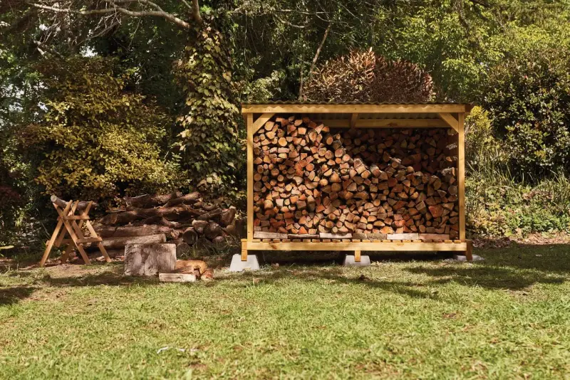 Abri bois de chauffage fait maison, rempli de bois sec. Un chien se repose à l'ombre.