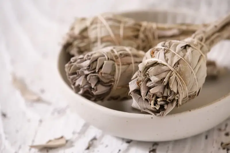 Trzy pęczki szałwii białej, związane sznurkiem, leżą w ceramicznej misie. Liście są suche, szaro-zielone, tworząc gęste, zwarte główki.