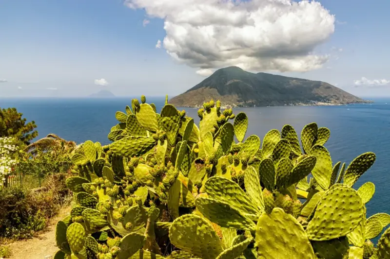 Fico d'India rigoglioso domina la scena, con il mare blu e un vulcano sullo sfondo, un'immagine perfetta per le vacanze isole della Sicilia.