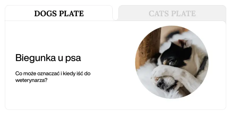 Chory piesek z zasłoniętymi oczami. Artykuł o biegunce i wymiotach u psa.