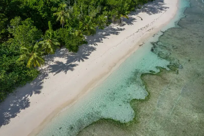 Rajska plaża z palmami i turkusową wodą. Czy Seszele są bezpieczne? Tak, to idealne miejsce na spokojny wypoczynek.