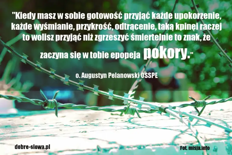Mądre cytaty Polaków: o. Augustyn Pelanowski o pokorze. Kolczasty drut na tle zieleni.