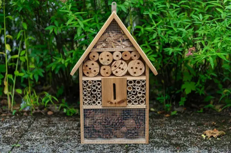 Casetta per insetti fai da te, un rifugio accogliente con legni forati, bambù e pigne, pronto ad ospitare piccoli amici del giardino.