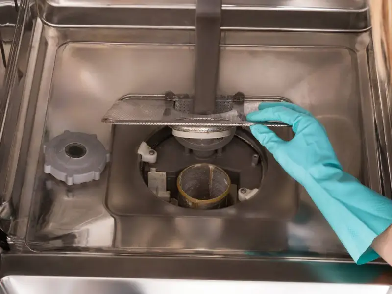 En hand med blå gummihandske rengör filtret i en illaluktande diskmaskin.