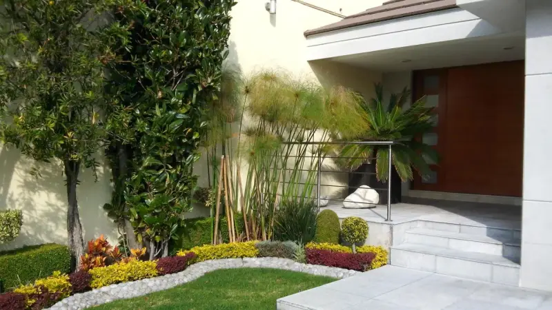 Un ingresso esterno casa curato con piante verdi, fiori colorati e papiri, un invito ad abbellire l'ingresso esterno casa con stile.