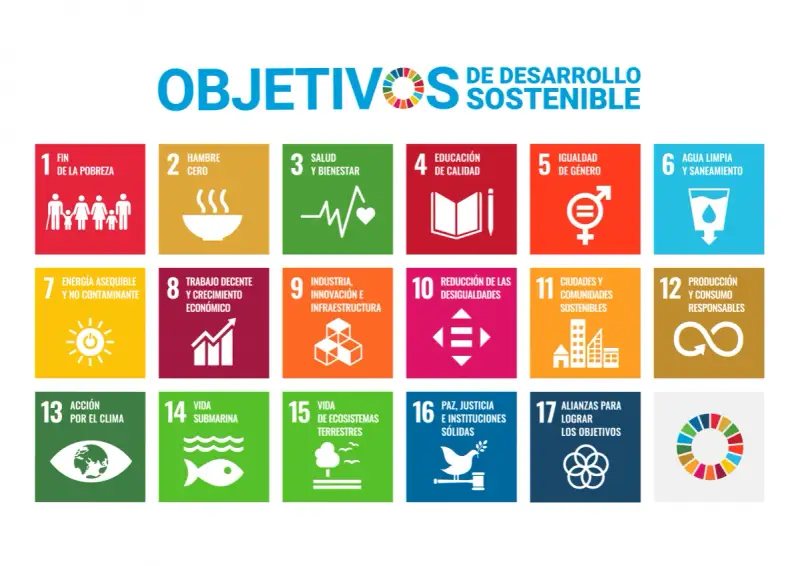 Los 17 Objetivos de Desarrollo Sostenible (ODS) de la ONU, que promueven la **formación ESG** global.