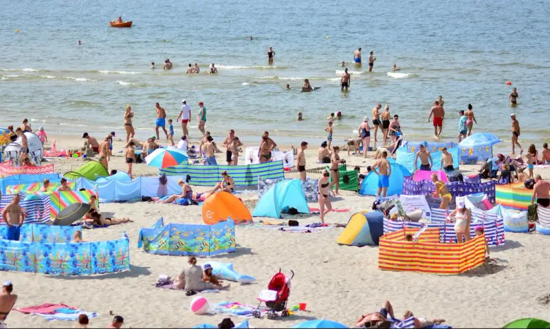 Wczasy pod gruszą na zatłoczonej plaży. Ludzie kąpią się w morzu, opalają na piasku i odpoczywają pod kolorowymi parawanami.