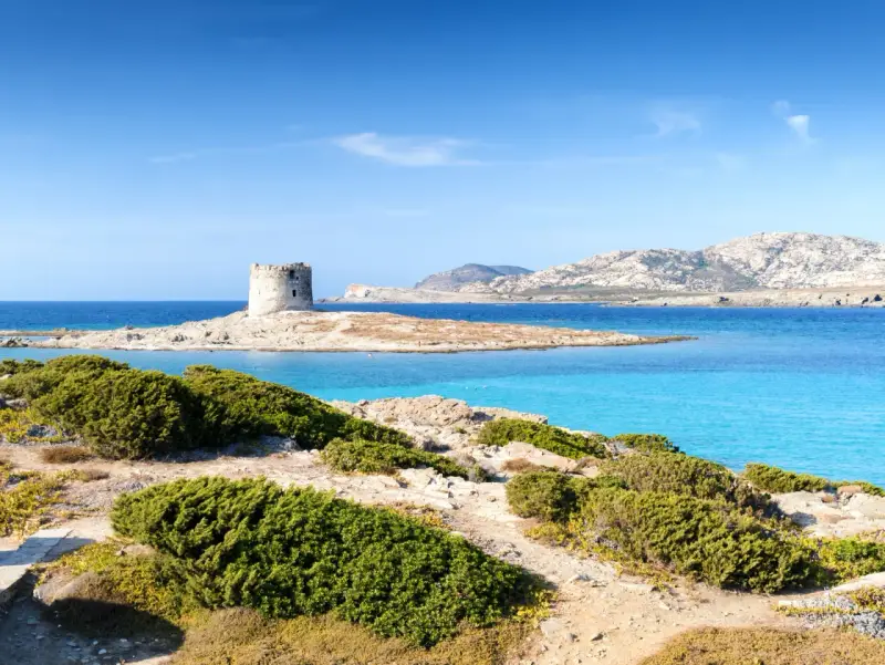 Torre aragonese su isolotto roccioso, mare turchese e macchia mediterranea. Alghero la Pelosa distanza, un sogno sardo.