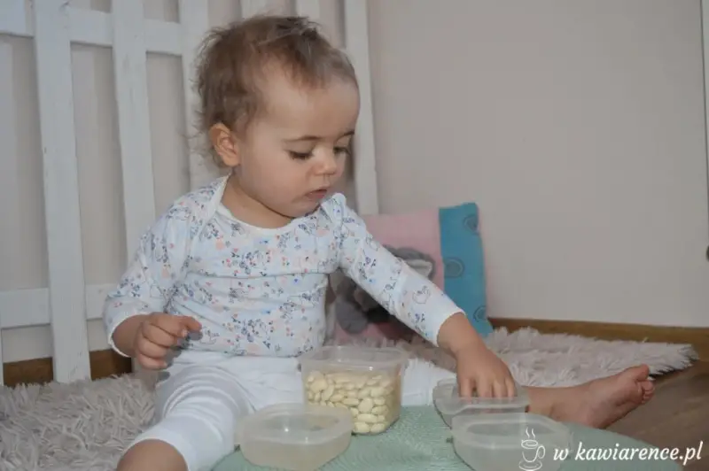 Roczne dziecko bawi się fasolkami w pojemnikach. Proste zabawy dla rocznego dziecka rozwijają motorykę małą.