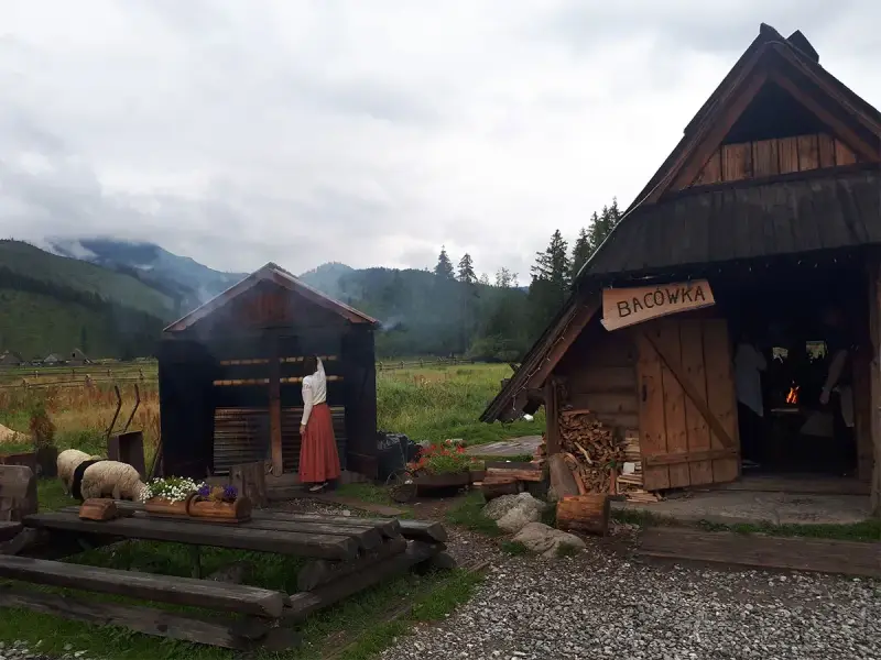 Tradycyjna bacówka w Karpaczu, gdzie wędzą się pyszne oscypki. W tle góry i owce.