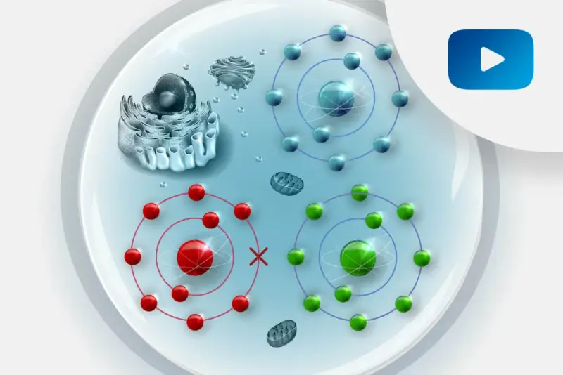 Komórka z organellami i atomami. Czerwone atomy symbolizują stres oksydacyjny, zielone i niebieskie zdrowe.