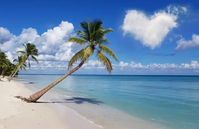 Rajska plaża z palmami, idealne miejsce, gdzie w styczniu na wakacje. Błękitne morze i serce na niebie.