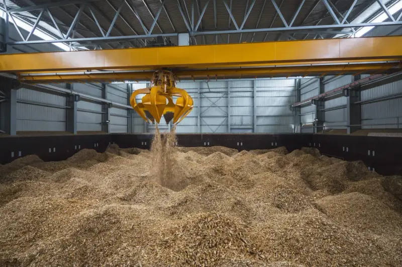 Ein Greifer lädt Holzspäne, ein Beispiel für Biomasse, in einen Lagerraum.
