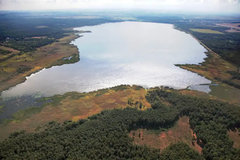 Rozległe jezioro otoczone lasem i trzcinami. Woda lśni, sugerując głębię i potencjalną termoklinę.