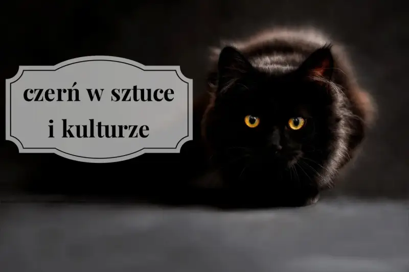 Czarny kot o żółtych oczach, na tle napis "czern w sztuce i kulturze". Czy czarny jest kolorem?