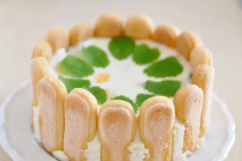 Un délicieux cheesecake citron, entouré de biscuits à la cuillère et décoré de feuilles de menthe.
