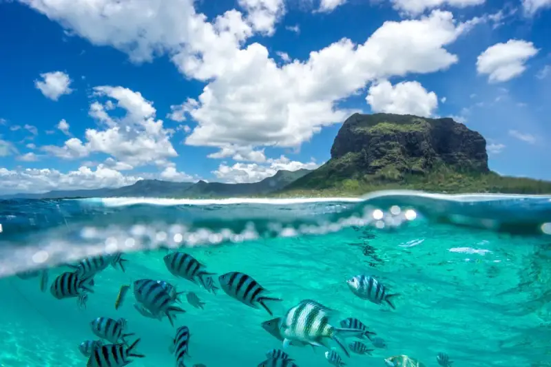 Podwodny świat Mauritiusa zachwyca. Uważaj na prądy, ale podziwiaj ryby i górę Le Morne Brabant.