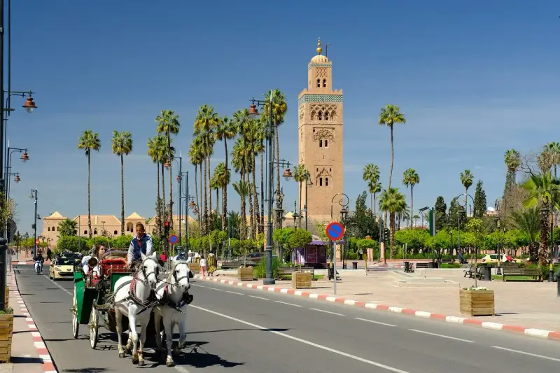 W Marrakeszu turyści mogą bezpiecznie podziwiać zabytki, takie jak minaret Koutoubia, podczas przejażdżki dorożką pośród palm.