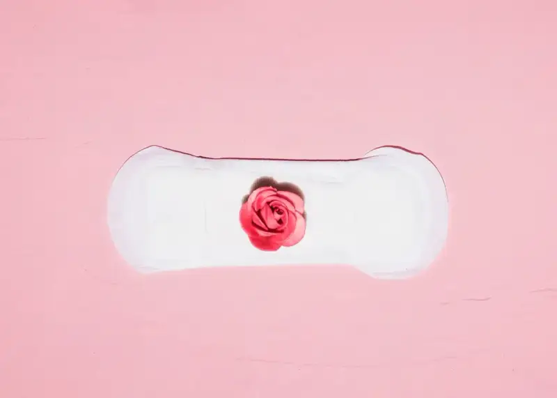 Biały podpaska z różową różą pośrodku. Symbolizuje cykl menstruacyjny, gdzie skrzep czy zarodek może być częścią tej naturalnej podróży.