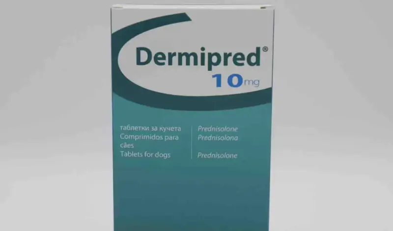 Dermipred 10mg to lek z prednizolonem, stosowany m.in. u psów.