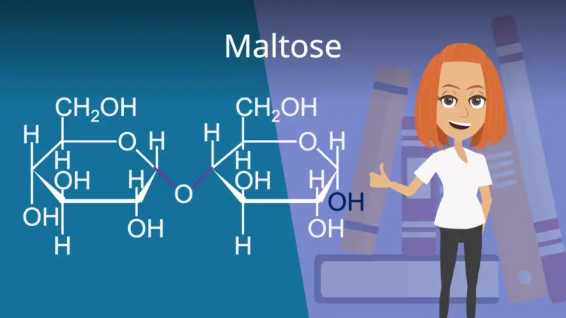 Chemische Struktur von Maltose, einem Disaccharid. Eine lächelnde Frau mit roten Haaren gibt Daumen hoch vor Bücherstapeln.